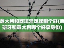 意大利和西班牙足球哪个好(西班牙和意大利哪个好拿身份)