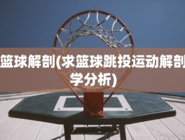 篮球解剖(求篮球跳投运动解剖学分析)