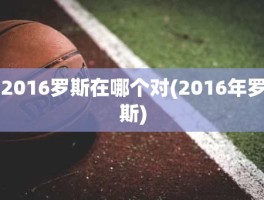 2016罗斯在哪个对(2016年罗斯)