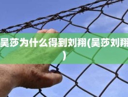 吴莎为什么得到刘翔(吴莎刘翔)