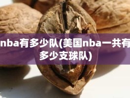 nba有多少队(美国nba一共有多少支球队)