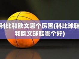 科比和欧文哪个厉害(科比球鞋和欧文球鞋哪个好)