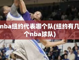 nba纽约代表哪个队(纽约有几个nba球队)