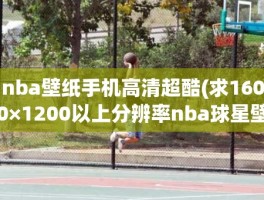 nba壁纸手机高清超酷(求1600×1200以上分辨率nba球星壁纸)