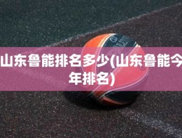 山东鲁能排名多少(山东鲁能今年排名)