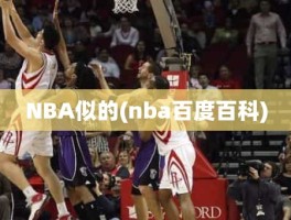 NBA似的(nba百度百科)