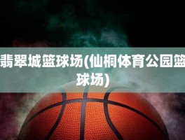 翡翠城篮球场(仙桐体育公园篮球场)