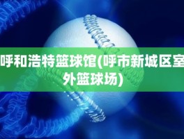 呼和浩特篮球馆(呼市新城区室外篮球场)