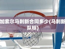 加索尔马刺新合同多少(马刺新队标)