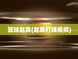 篮球赵爽(赵爽打球视频)