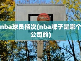 nba球员档次(nba牌子是哪个公司的)