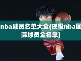 nba球员名单大全(现役nba国际球员全名单)