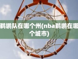 鹈鹕队在哪个州(nba鹈鹕在哪个城市)