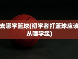 去哪学篮球(初学者打篮球应该从哪学起)