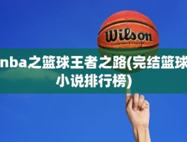 nba之篮球王者之路(完结篮球小说排行榜)