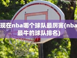 现在nba哪个球队最厉害(nba最牛的球队排名)