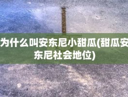 为什么叫安东尼小甜瓜(甜瓜安东尼社会地位)