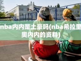 nba内内是土豪吗(nba希拉里奥内内的资料)