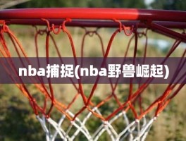 nba捕捉(nba野兽崛起)