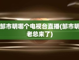 邹市明哪个电视台直播(邹市明老总来了)