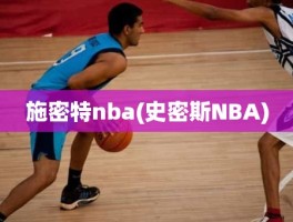 施密特nba(史密斯NBA)