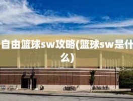 自由篮球sw攻略(篮球sw是什么)