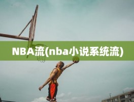 NBA流(nba小说系统流)