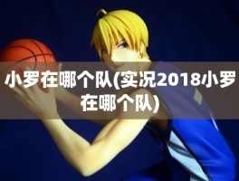 小罗在哪个队(实况2018小罗在哪个队)