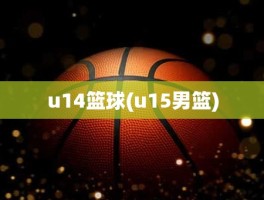 u14篮球(u15男篮)