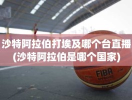 沙特阿拉伯打埃及哪个台直播(沙特阿拉伯是哪个国家)