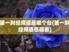 第一财经频道是哪个台(第一财经频道在哪看)