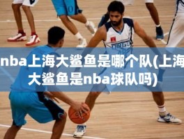 nba上海大鲨鱼是哪个队(上海大鲨鱼是nba球队吗)