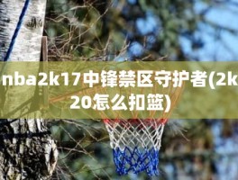 nba2k17中锋禁区守护者(2k20怎么扣篮)