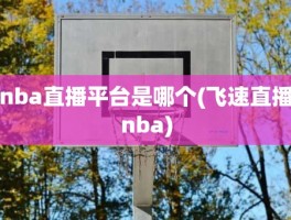 nba直播平台是哪个(飞速直播nba)