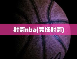射箭nba(竞技射箭)