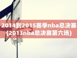 2014到2015赛季nba总决赛(2013nba总决赛第六场)