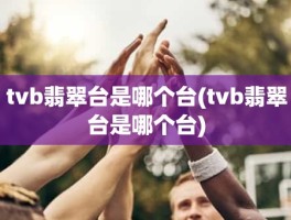 tvb翡翠台是哪个台(tvb翡翠台是哪个台)