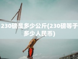 230磅是多少公斤(230磅等于多少人民币)