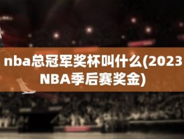 nba总冠军奖杯叫什么(2023NBA季后赛奖金)