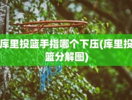 库里投篮手指哪个下压(库里投篮分解图)