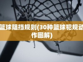 篮球阻挡规则(30种篮球犯规动作图解)