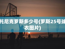 托尼克罗斯多少号(罗斯25号球衣图片)