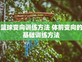 篮球变向训练方法 体前变向的基础训练方法