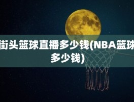 街头篮球直播多少钱(NBA篮球多少钱)