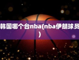 韩国哪个台nba(nba伊朗球员)