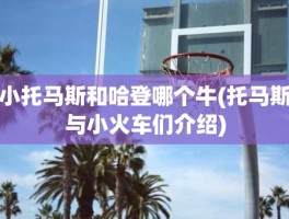 小托马斯和哈登哪个牛(托马斯与小火车们介绍)