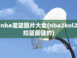 nba灌篮图片大全(nba2kol2扣篮最猛的)