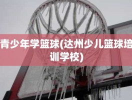 青少年学篮球(达州少儿篮球培训学校)