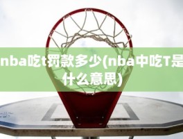 nba吃t罚款多少(nba中吃T是什么意思)