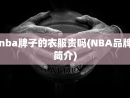 nba牌子的衣服贵吗(NBA品牌简介)